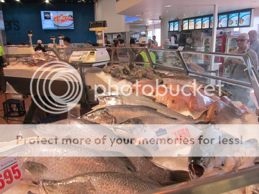 gila makan Sydney Fish Market